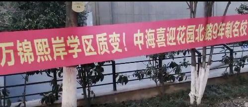 中花校园最新版爆料视频,揭秘校园风云与青春故事  第1张